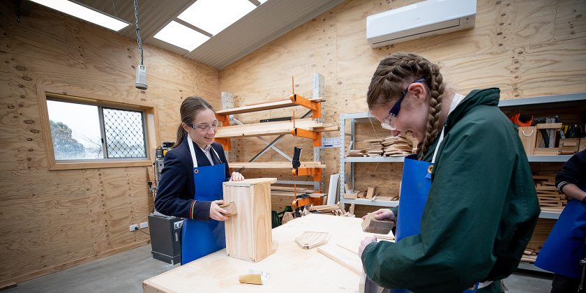 Two girls in woodwork class.